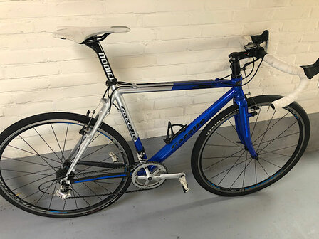 Gazelle Special (cyclocross)