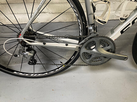 Focus Izalco