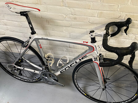 Focus Izalco