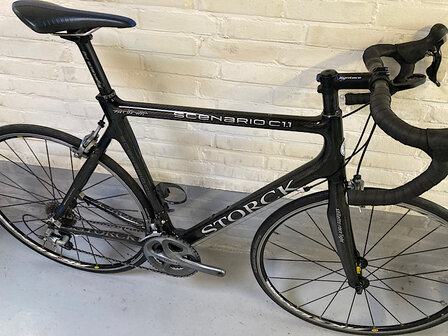 Storck Scenario 1.1